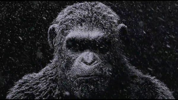 Fox Film divulga o primeiro trailer de Planeta dos Macacos: A Guerra
